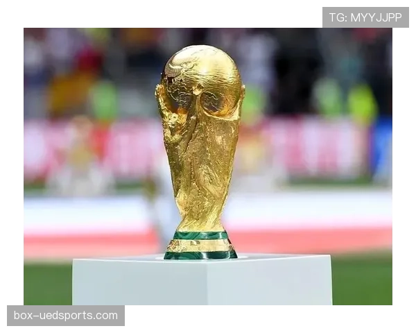 奥地利晋级2026世界杯淘汰赛：32强席位尘埃落定
